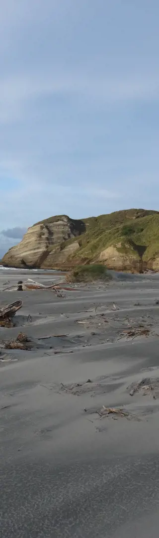 Wharariki Beach
